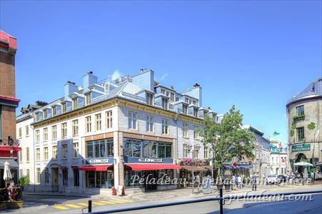 9 Rue de L'Hôtel-Dieu #500