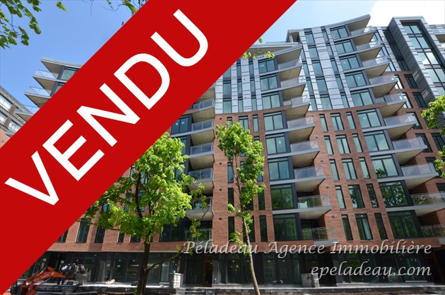 1175 Av. Turnbull #502