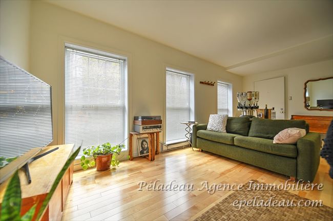 796 Rue Richelieu #1