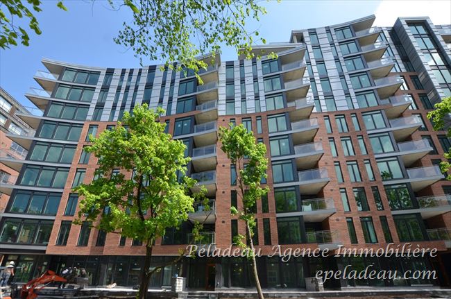 1175 Av. Turnbull #903